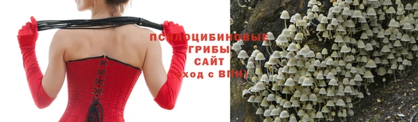 бутират Алексеевка