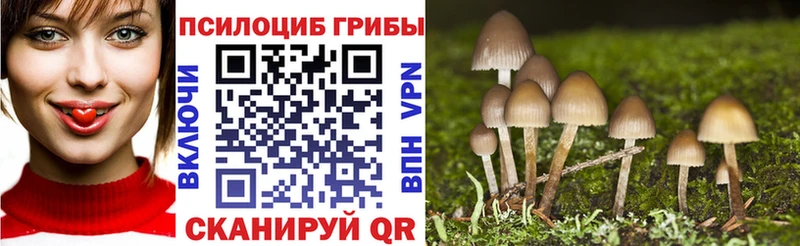 MEGA онион  Волжский  Галлюциногенные грибы прущие грибы 