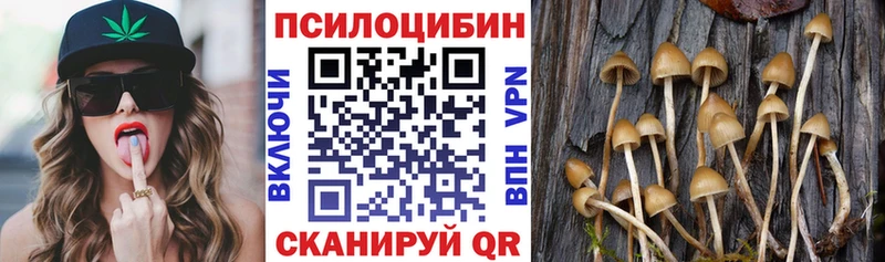 Псилоцибиновые грибы Psilocybine cubensis Волжский